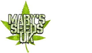 Marys Cannabis Seeds. Buy Cannabis Seeds Online